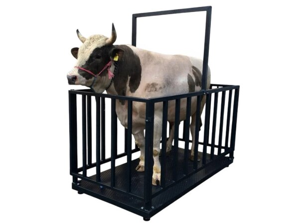Heyvan tərəzisi 3 Ton