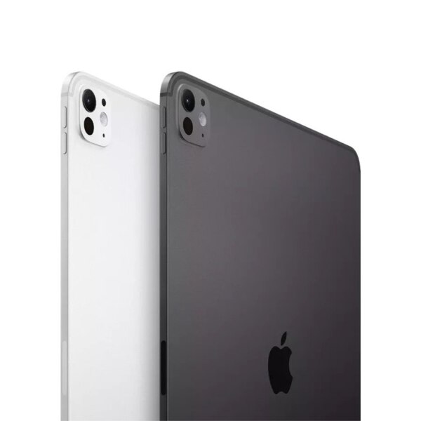 Apple iPad Pro 13 inch M4 256 Gb Silver 2024
