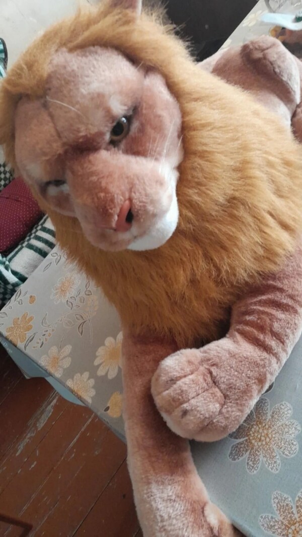 Tüklü şir oyunçağı