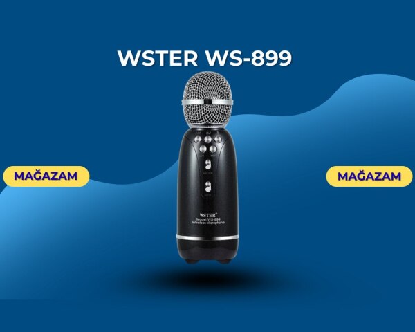 Wster WS899