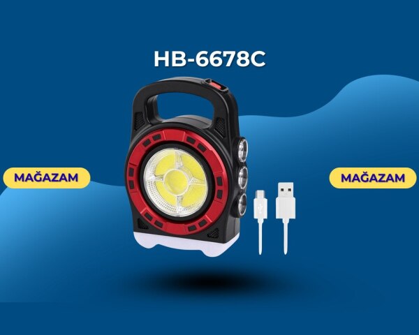 Hb6678C