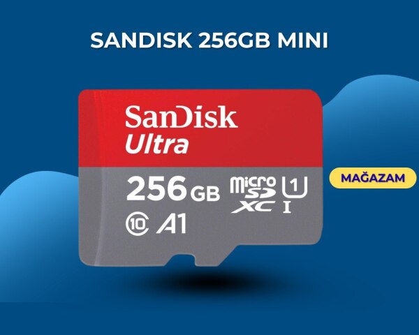 Sandisk 256GB Mini