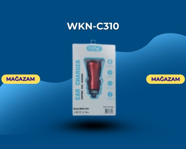 Avtomobil üçün şarj WknC310