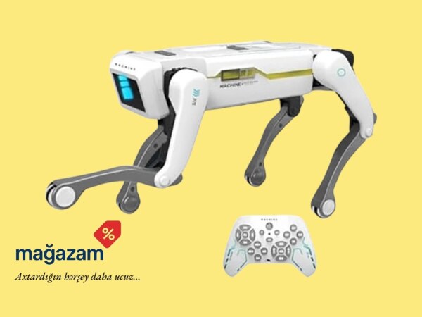 Rapit Power Smart Dog AI