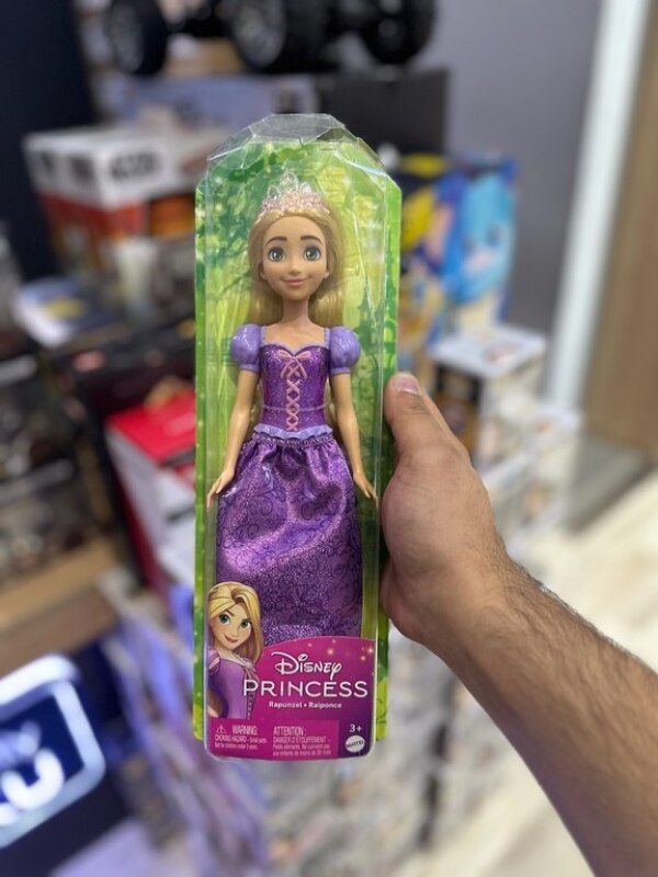 Disney Barbie Princess