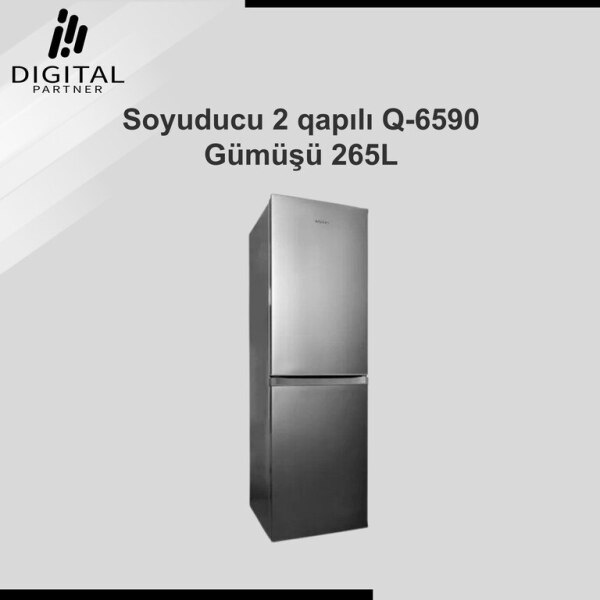 Soyuducu Q6590 gümüşü 265L