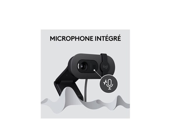 Web Kamera Logitech Brio 100 Full HD Graphite