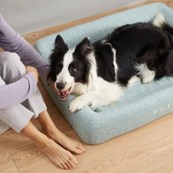 Petkit Four Season Sleep Bed L SIZE