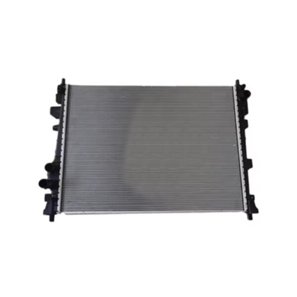 BYD Destroyer 05 15L su radiatoru