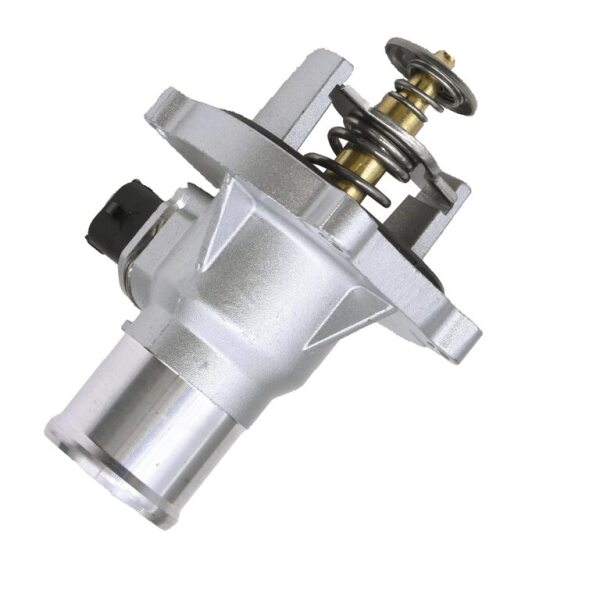 Chevrolet termostat korpusu 24384