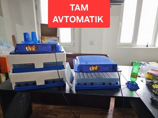 İnkubator Expert