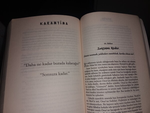 Beyza Alkoç- Karantina kitabı.