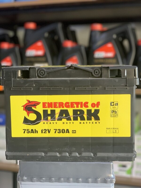 Akkumulyator Shark 12V75Ah  730A