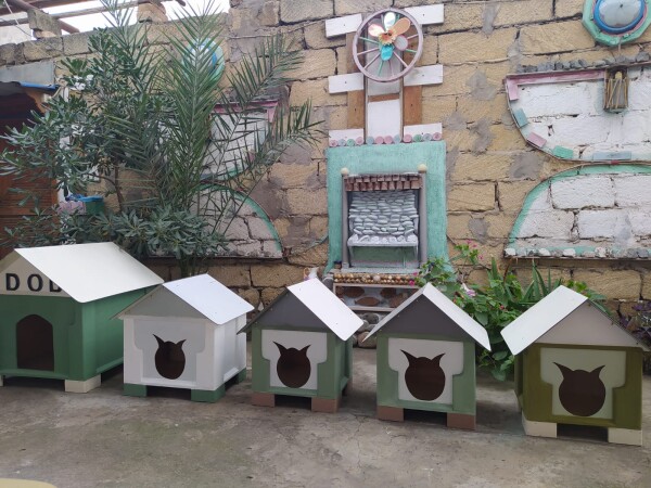 Pişik və it yuvalari