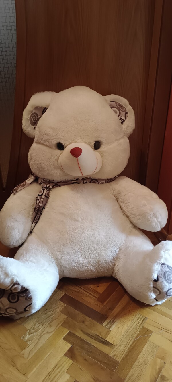 Böyük ölçülü ayi