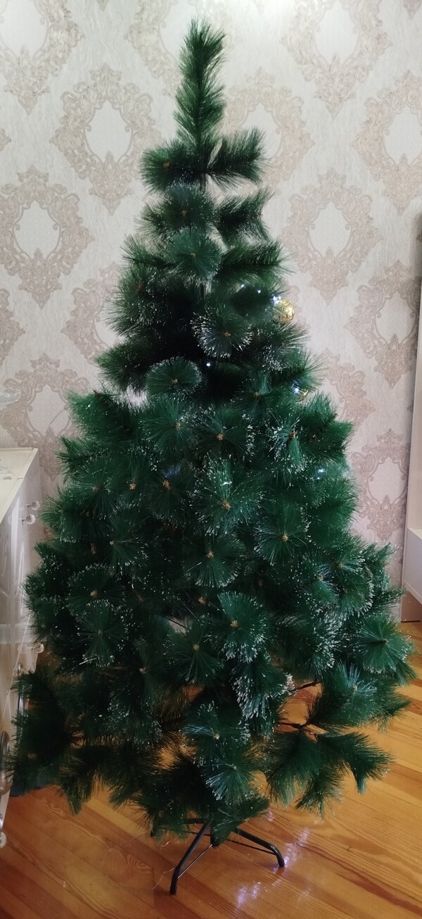 175 sm hündürlüyü olan tökülməz yolka