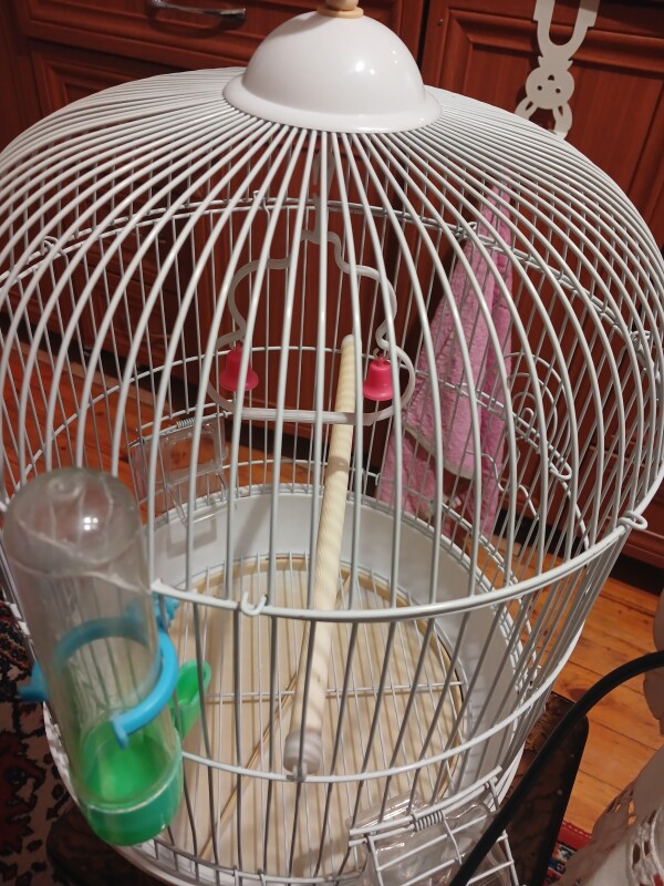 Yeni kımi dir 15 gün istifade edişib