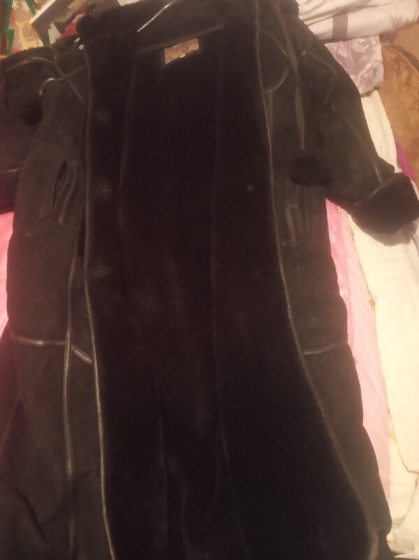 İçi mexli geseng istidi.