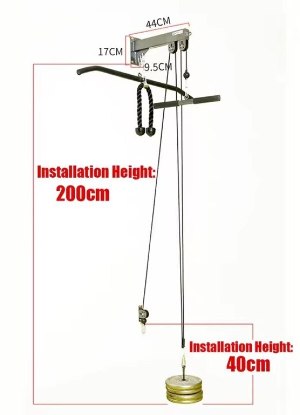 Əzələ idman aləti