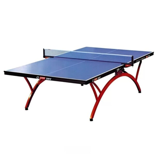 DHS table tennis