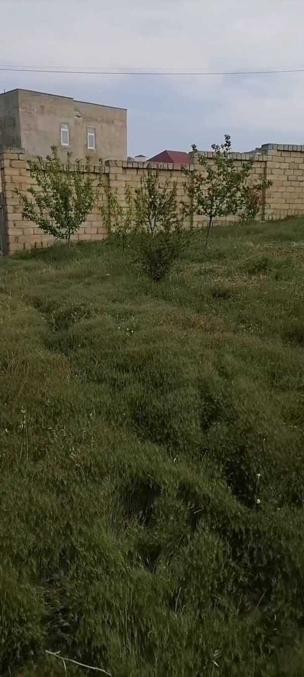 Masazır rayonu, Yoncalıq adlanan ərazidə 8 sot torpaq