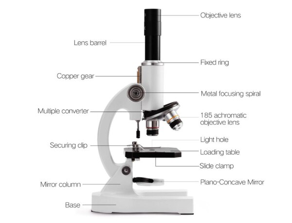 Tibbi Mikroskop 2400x