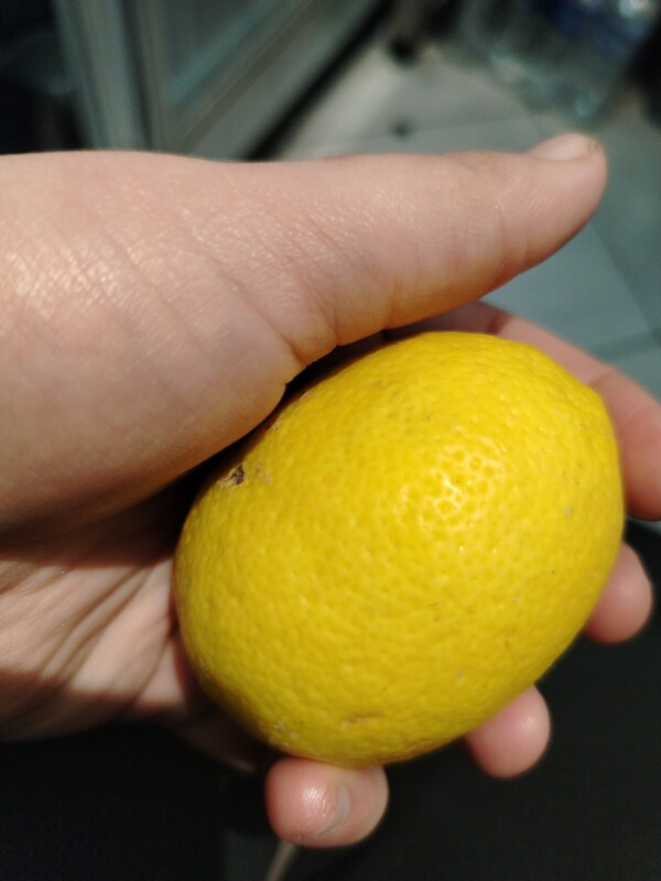 Отлам даром