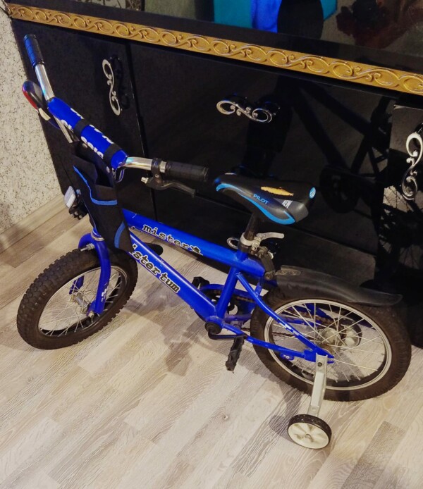 Velosiped işlenniş