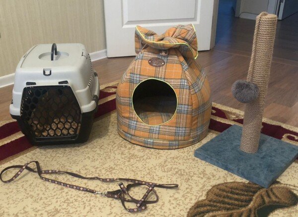 Pişik üçün əşyalar