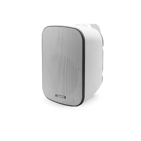 DSPPA  DSP5040BW 40W sukeçirtməz xarici divar dinamiki