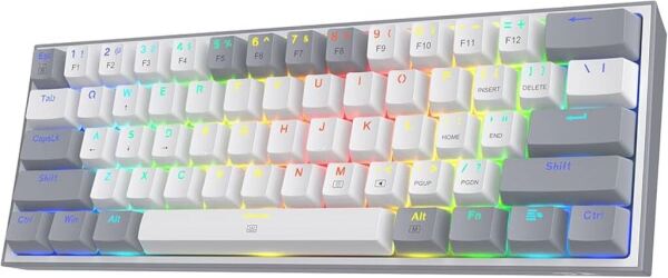 REDDRAGON Wired mechanical keyboard