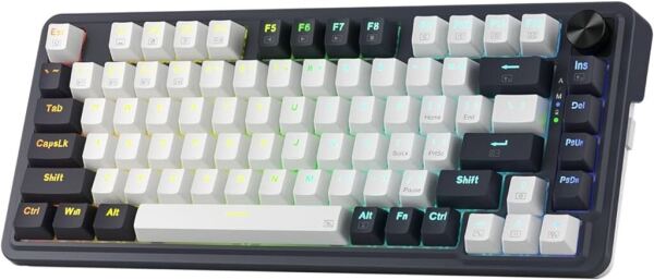 Reddragon 75 gasket mechanical keyboard