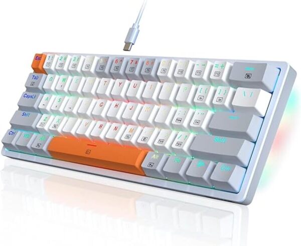 Reddragon Wired 61 key mechanical keyboard