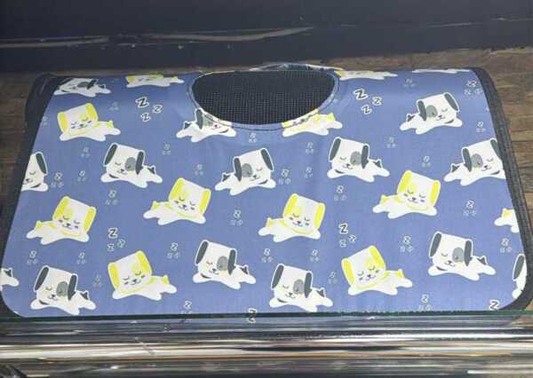 İt və pişik daşıma çantası