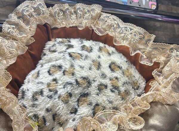 Yumşaq döşək