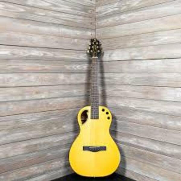 Akustik gitara Samick Greg Bennett GPH100SRE  N