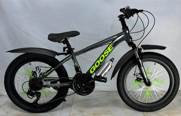 Velosiped Goose 20YG21S