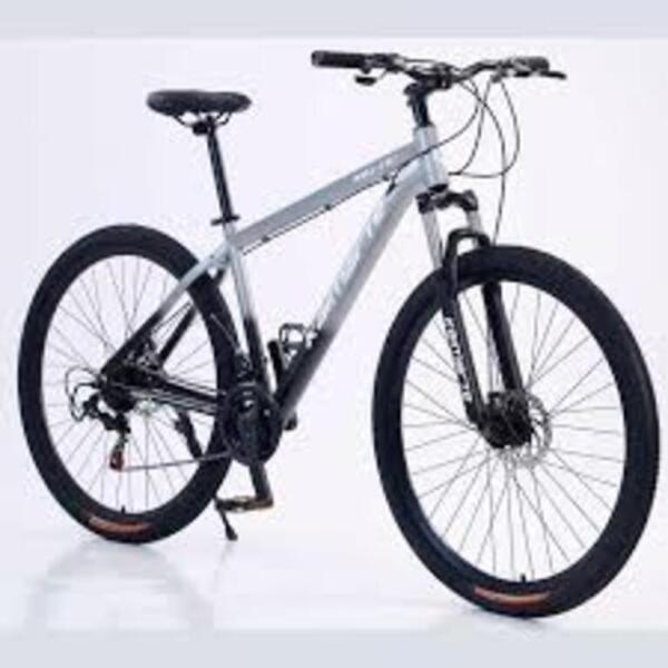 Velosiped Goose