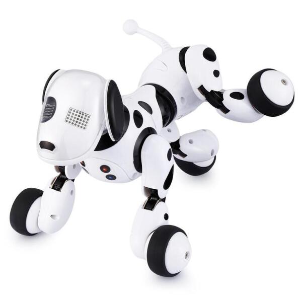 Robot it Dimei
