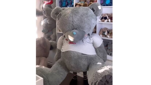 Yumşaq böyük ayı TEDDY