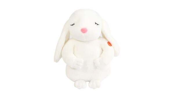 Dovşan nəfəs alan oyuncaq